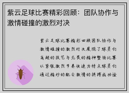 紫云足球比赛精彩回顾：团队协作与激情碰撞的激烈对决