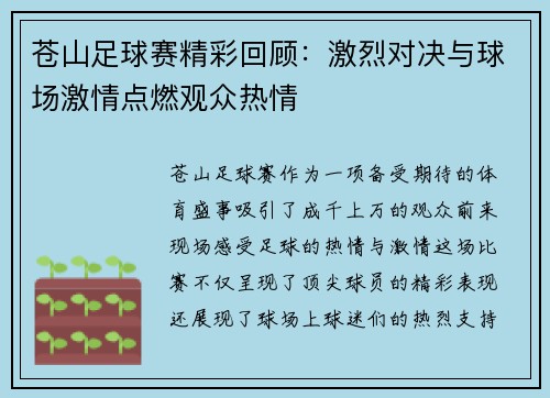 苍山足球赛精彩回顾：激烈对决与球场激情点燃观众热情