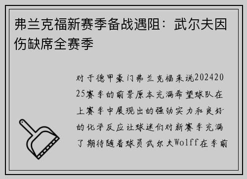 弗兰克福新赛季备战遇阻：武尔夫因伤缺席全赛季