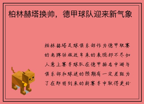 柏林赫塔换帅，德甲球队迎来新气象