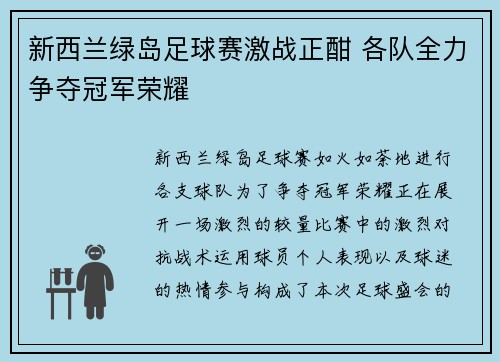 新西兰绿岛足球赛激战正酣 各队全力争夺冠军荣耀