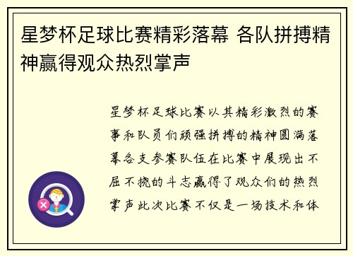 星梦杯足球比赛精彩落幕 各队拼搏精神赢得观众热烈掌声