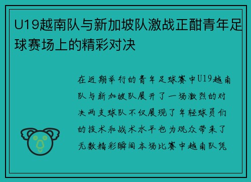 U19越南队与新加坡队激战正酣青年足球赛场上的精彩对决